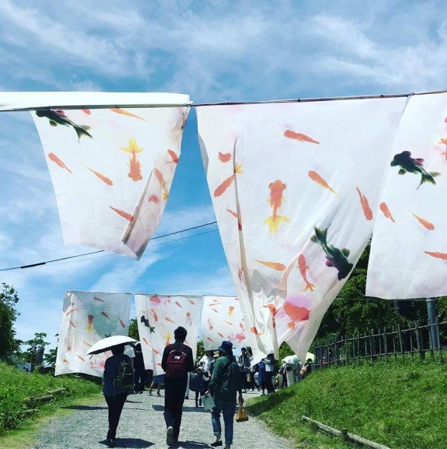 33031556_1850018005041591_1859624734979784704_n